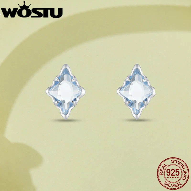 WOSTU 925 Sterling Silver Animals Cute Paws Rainbow Stud Earrings For Women Heart Oval Flower Zircon Crab Ear Studs Jewelry Gift