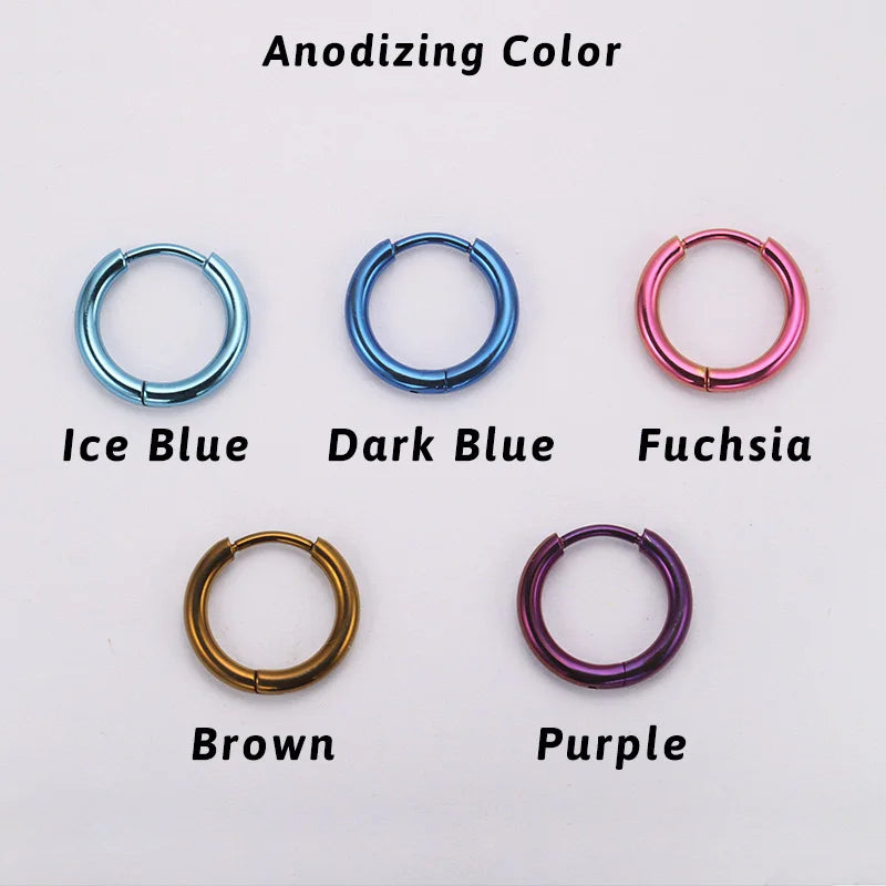 2PCS G23 Titanium Earring High Quality Hoop CZ Hinged Segment Round Nose Ring for Women Ear Cartilage Helix Piercing Anodizing
