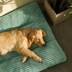 Soft Pet Dog Bed Winter Warm Dog Sleeping Mat Corduroy Pet Mat for Small