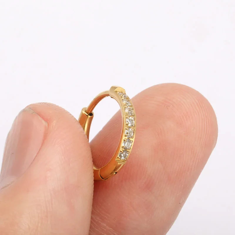 2PCS G23 Titanium Earring High Quality Hoop CZ Hinged Segment Round Nose Ring for Women Ear Cartilage Helix Piercing Anodizing