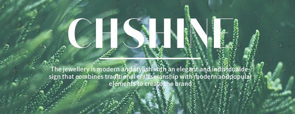 925 sterling silver Charms beads Necklace for women luxury fashion party