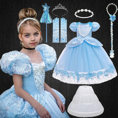 Girls Blue Cinderella Dress Summer Puff Sleeve Embroidery Flower Dresses for Girls