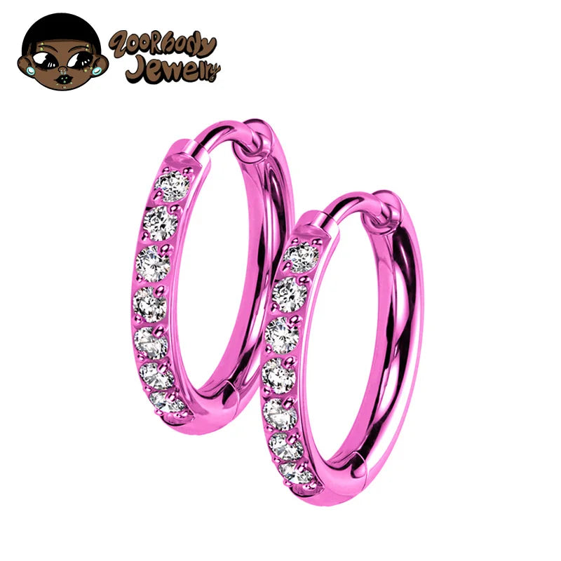 2PCS G23 Titanium Earring High Quality Hoop CZ Hinged Segment Round Nose Ring for Women Ear Cartilage Helix Piercing Anodizing