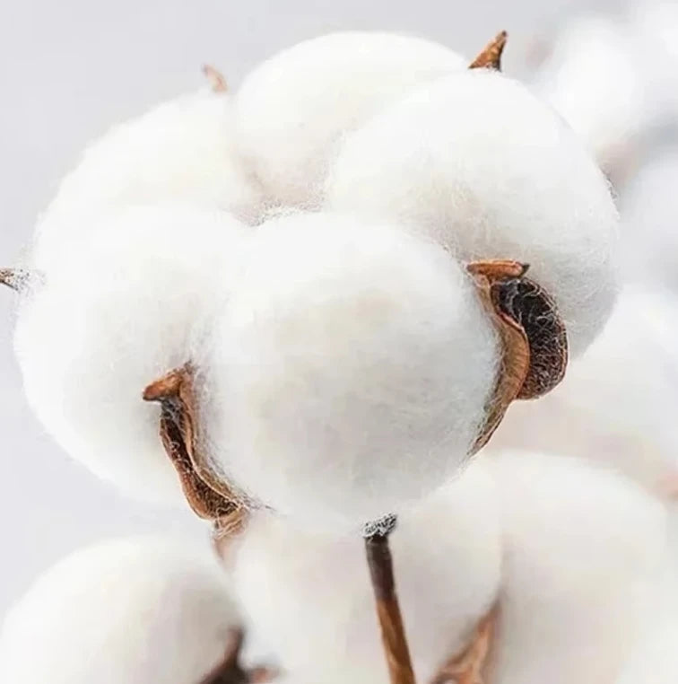 Island Boys Jeffrey Epstein Stephen Hawking Men'sCotton shirt Y2k Graphic Tshirts fashion popular street hawaiian Tshirt