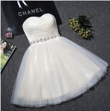 Homecoming Dresses: Evening Dress Short Prom Graduation Classmate party Dresses