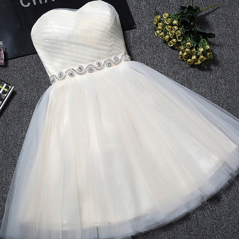 Homecoming Dresses: Evening Dress Short Prom Graduation Classmate party Dresses