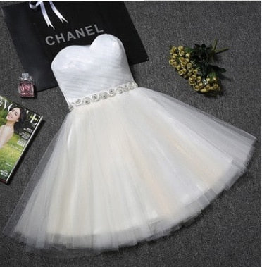 Homecoming Dresses: Evening Dress Short Prom Graduation Classmate party Dresses