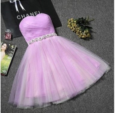 Homecoming Dresses: Evening Dress Short Prom Graduation Classmate party Dresses