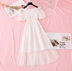small daisies embroidery mesh dresses women