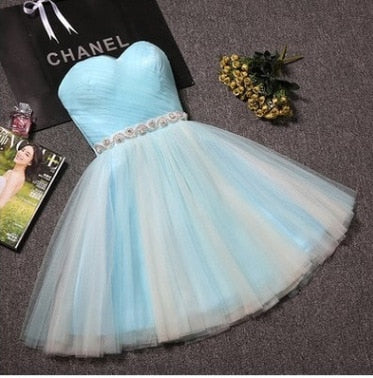 Homecoming Dresses: Evening Dress Short Prom Graduation Classmate party Dresses