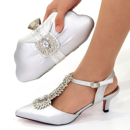 Shoes Matching Bags Set Italian Women's Party Shoes and Bag Sets in Silver