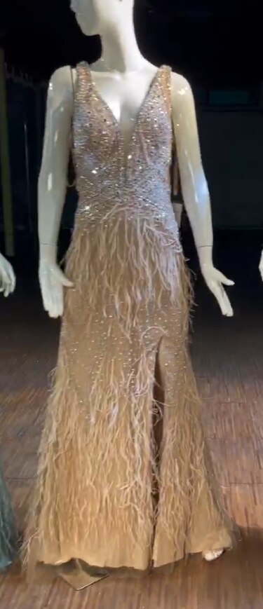 Evening wear Dresses: Mermaid Blue Feathers Evening Dress Fashion Backless Beaded